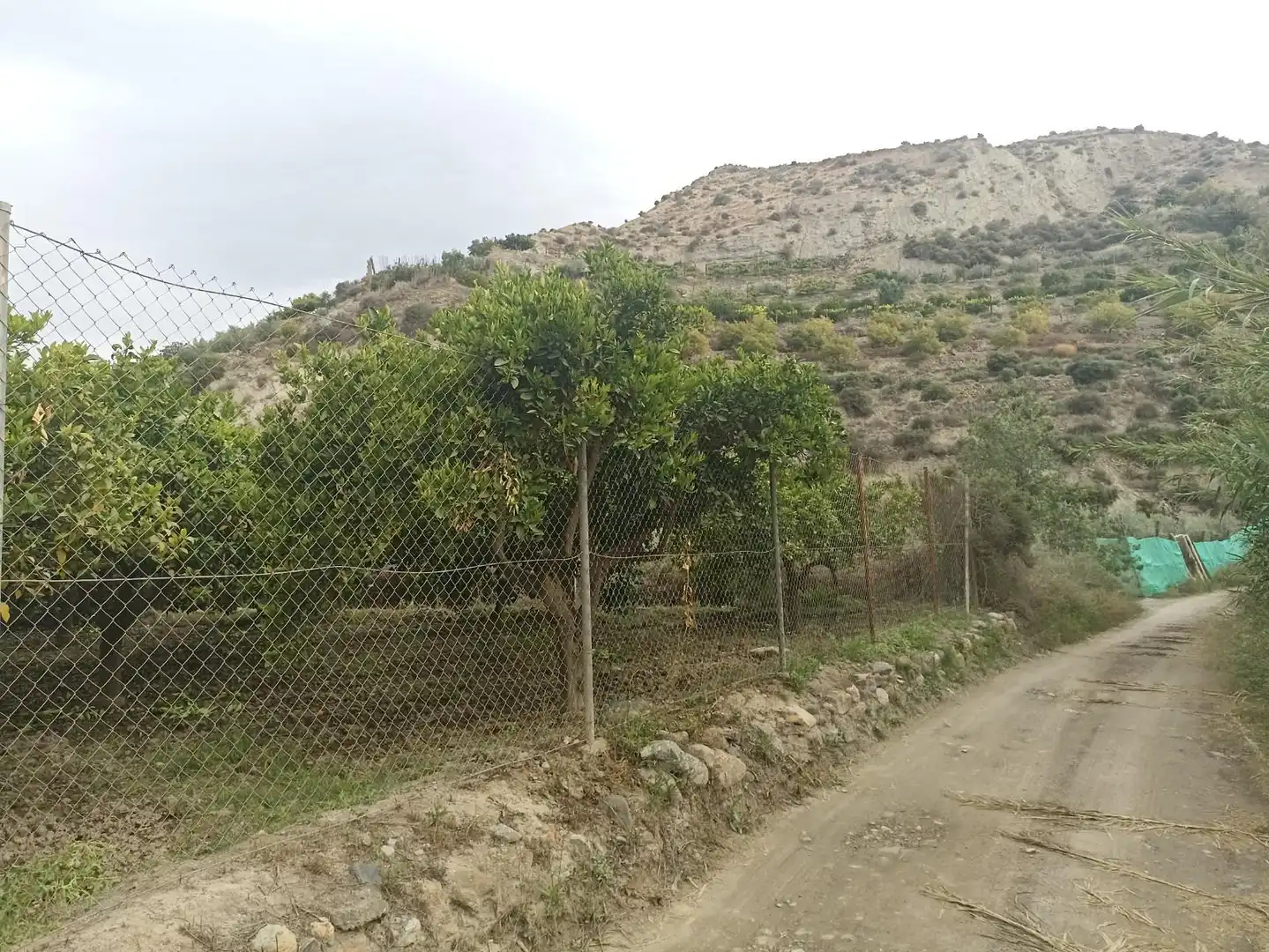 Terreny rústic en venda a molino del medio, imagen 2