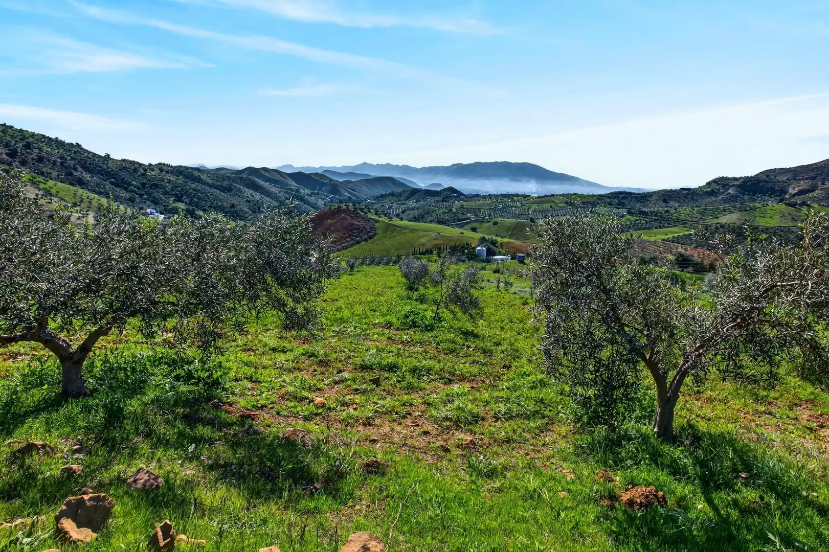 Residencial en venta en Cártama