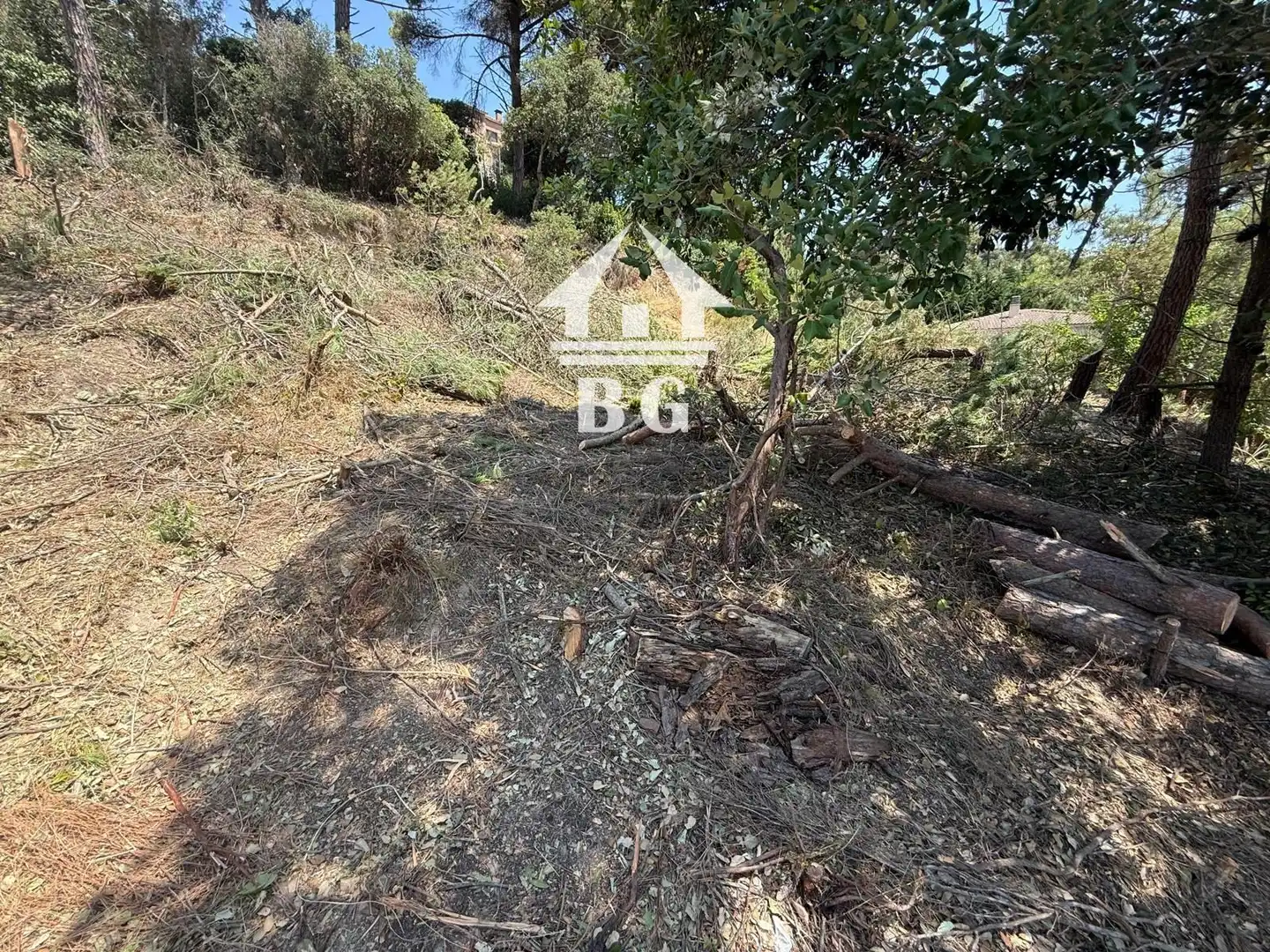 Terreno rústico en venta en Figuera, imagen 2