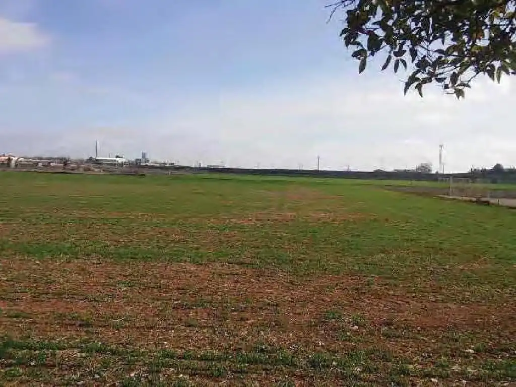 Terreno rústico en venta en Daimiel, imagen 6
