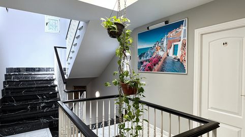 Villa Palma  Licencia ETV  Piscina, imatge 5