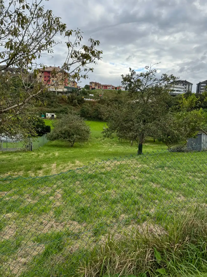 Lands and plots for sale in Lugar de La Florida 20, imagen 9