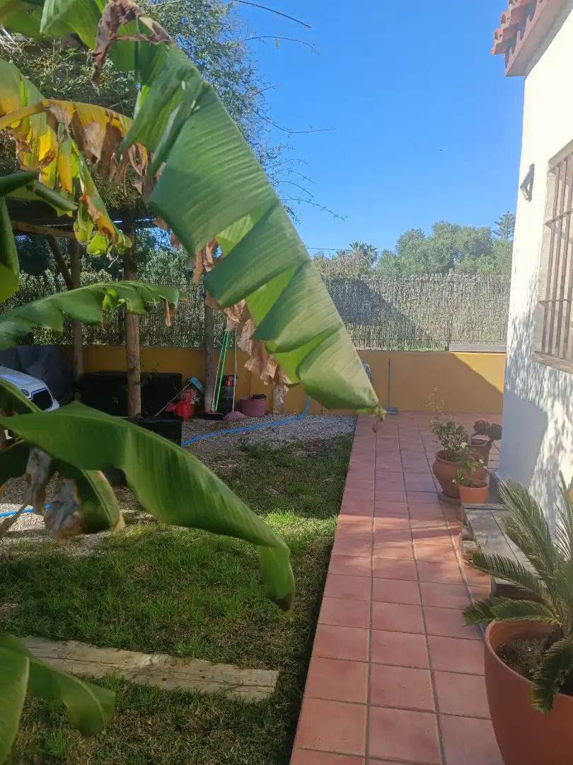 Casa rústica con jardín en venta en Zahora, imagen 25