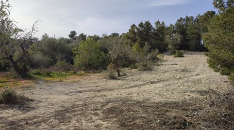 Finca rústica de 2541 m2 con bonitas vistas, imatge 5
