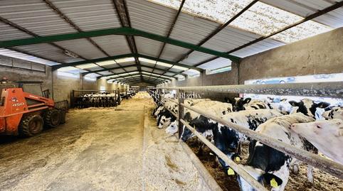 Photo 5 of Premises for sale in El Drago, Garachico, Santa Cruz de Tenerife