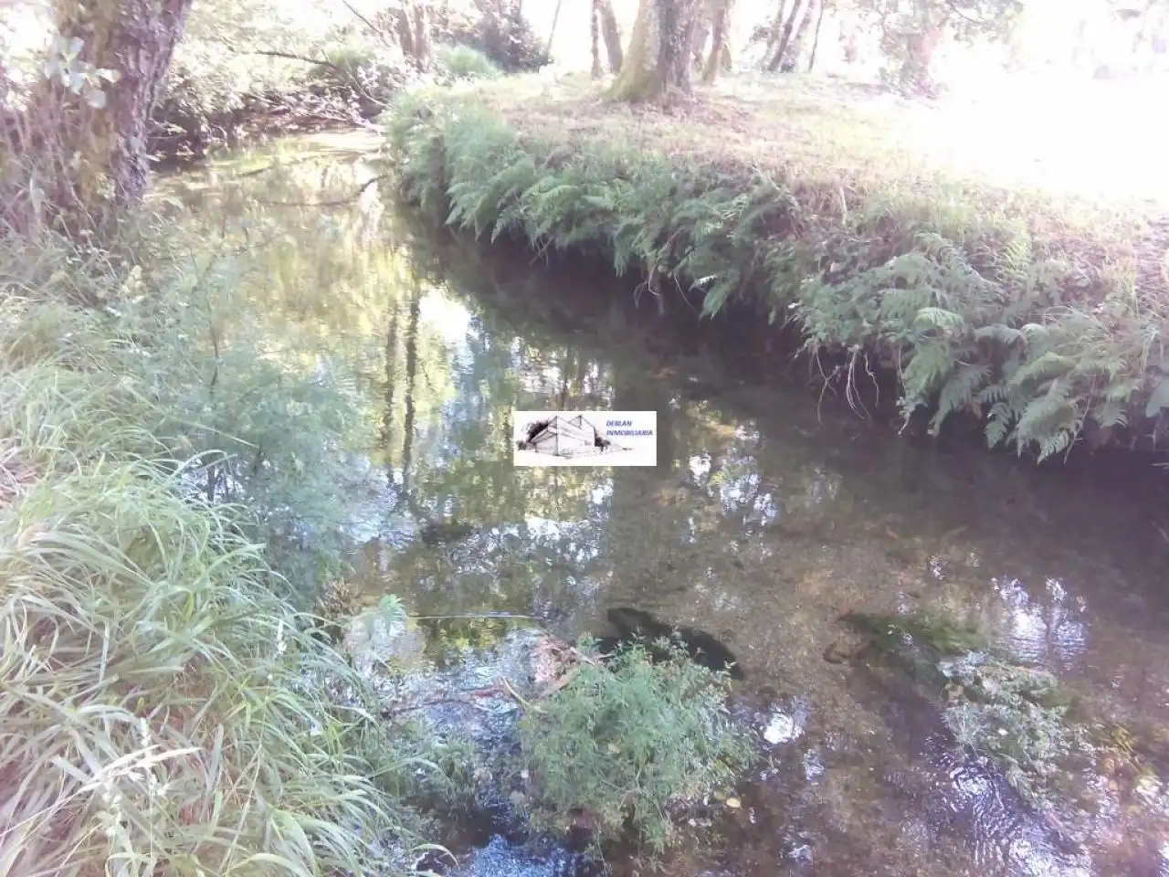 Terreno rustico in vendita a Tomiño, imagen 22