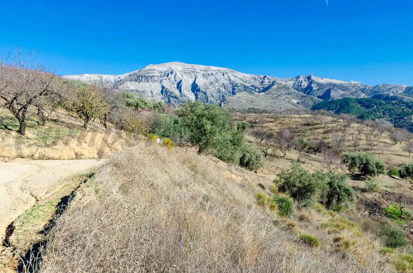 Casa rústica en venta en Sedella, imagen 11
