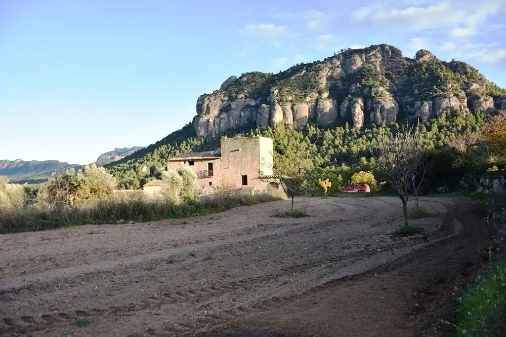 Rural land for sale in Horta de Sant Joan