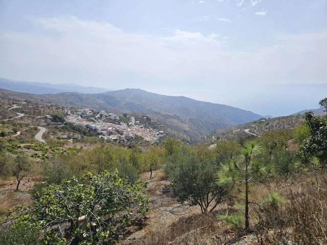 Local comercial en Venta en A348 A ALBUÑOL en Sorvilán