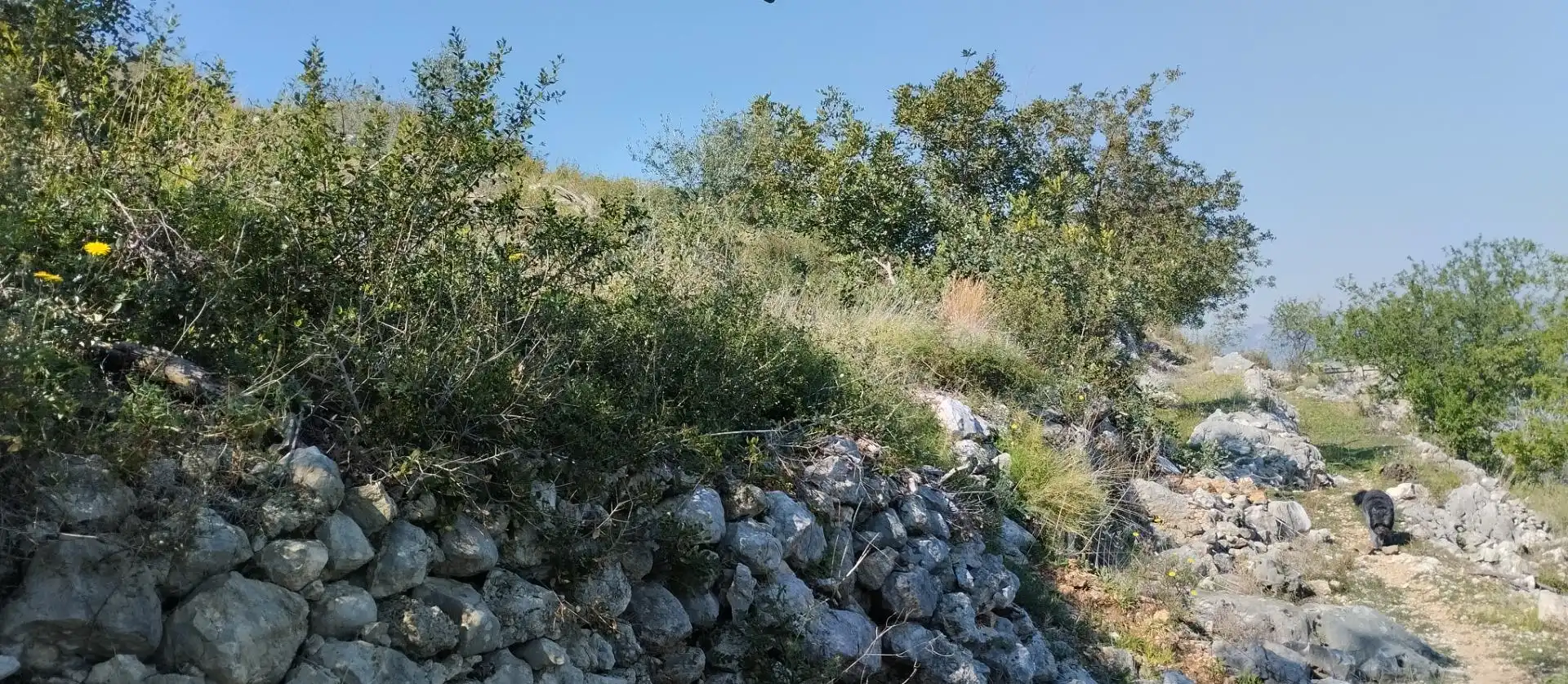 Rural land for sale in Pego, imagen 9