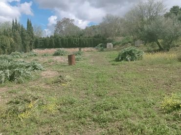 Rustikales Grundstück zum Verkauf in Úbeda