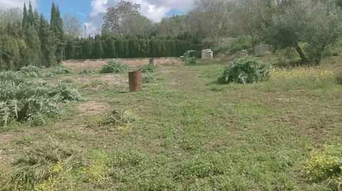 SE VENDE PARCELA EN SAN BARTOLOME