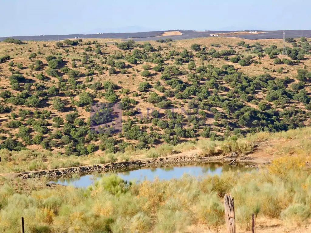Casa o xalet en venda a Mejostilla