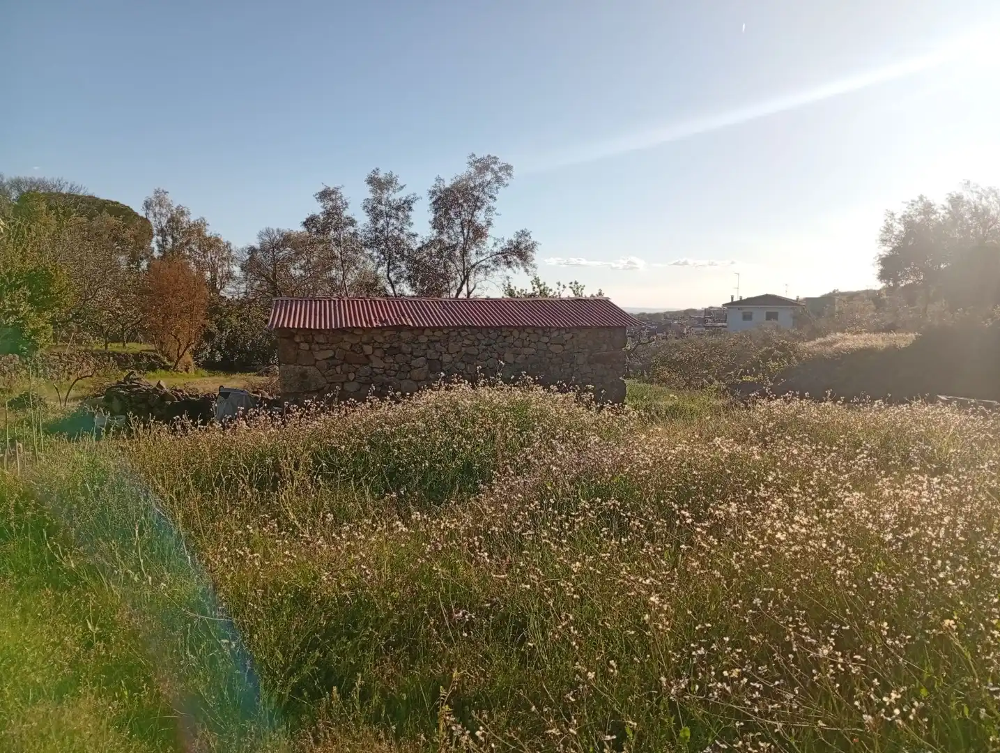 Terreno en venta en Valverde de la Vera