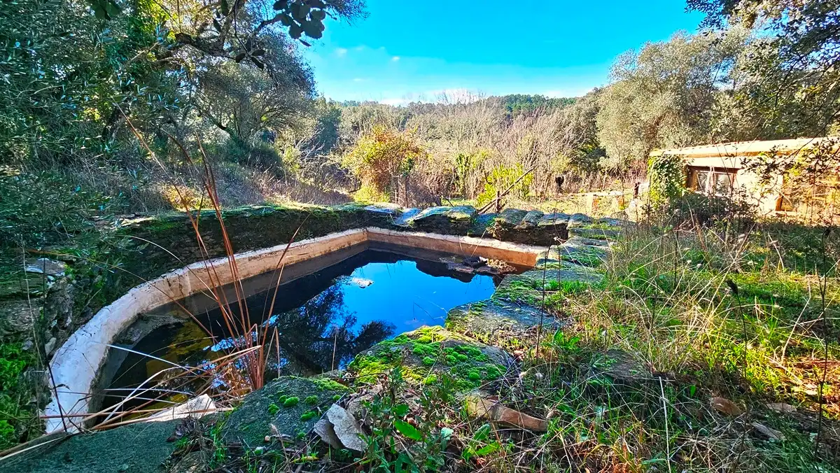 Piscina de Casa o xalet en venda en Los Marines amb Jardí privat, Terrassa i Traster