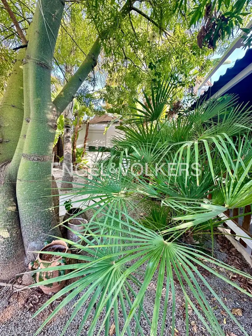 Casa con piscina in vendita a La Conarda - Montesano, imagen 29