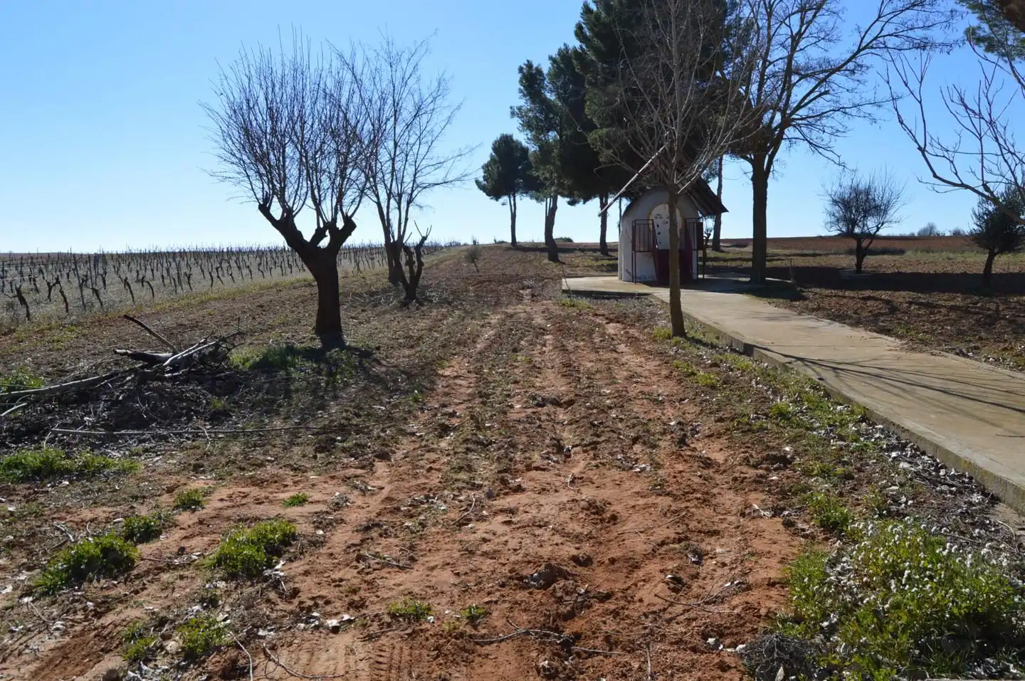 Terrenys i solars en venda a Tarancón, imagen 2