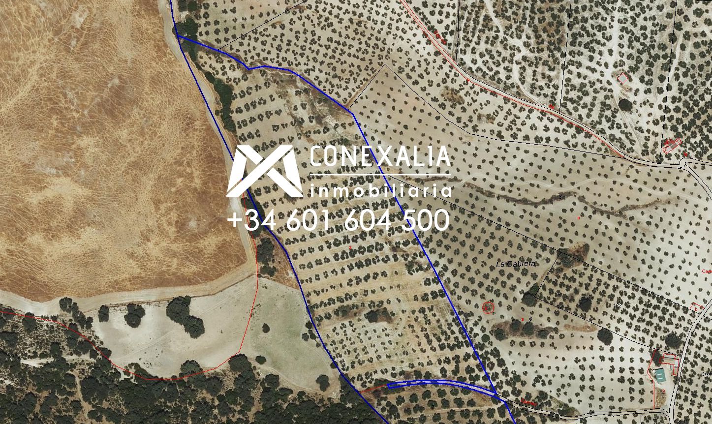 Finca rústica en venta en Pruna