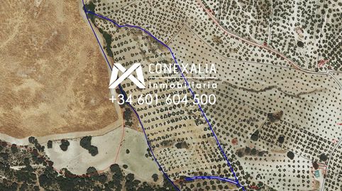 Finca en venta en Pruna.