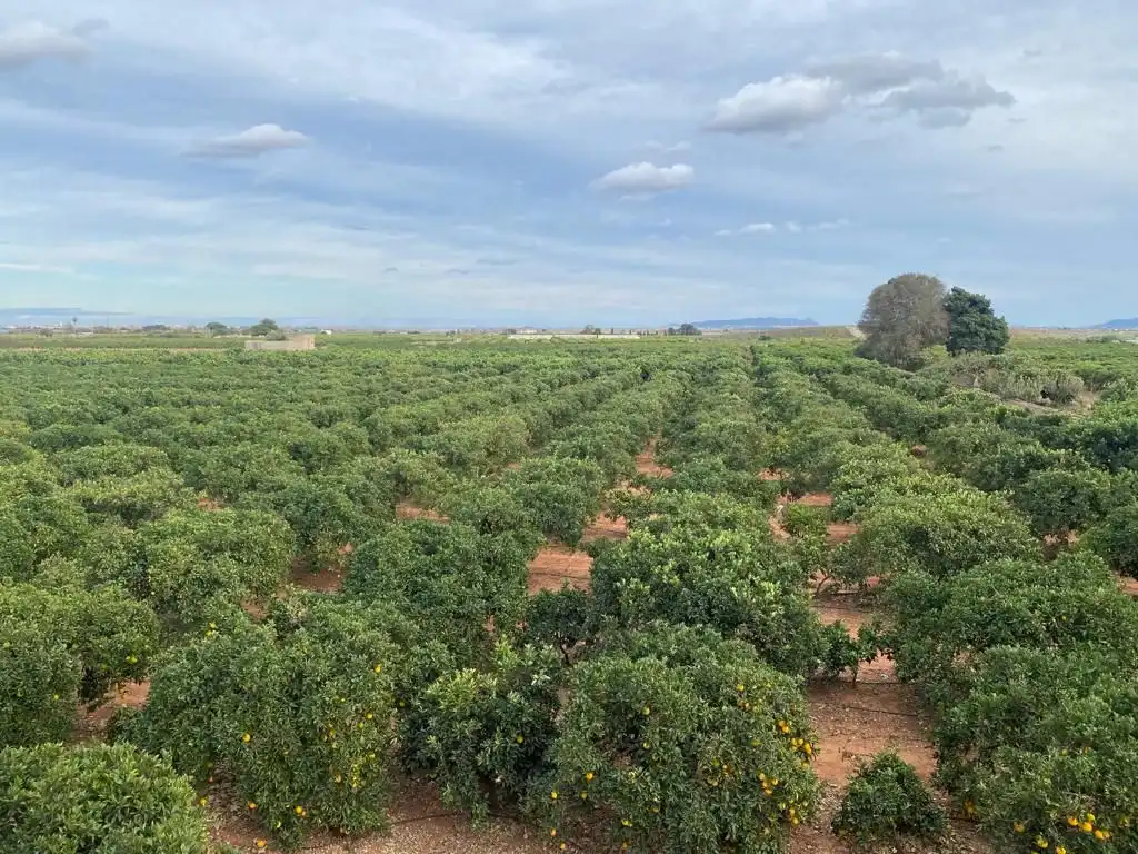 Finca rústica en venta en Benifaió con Jardín privado, Terraza y Trastero