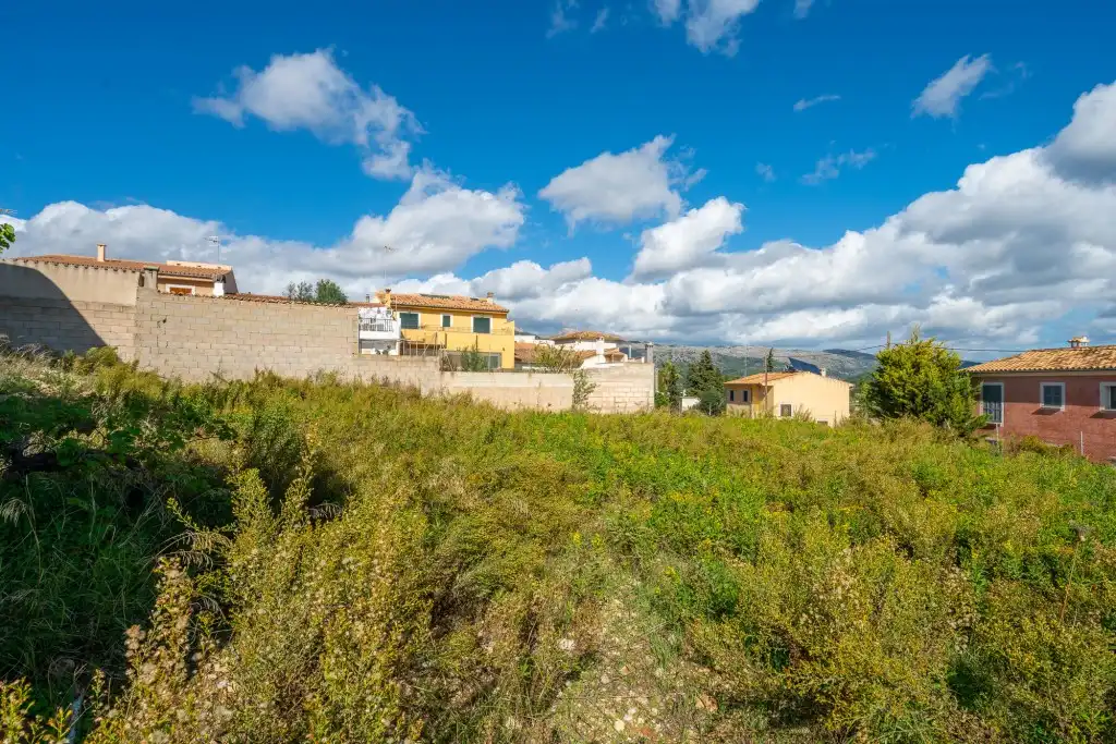 Terrain rustique à vendre à Campanet, imagen 4