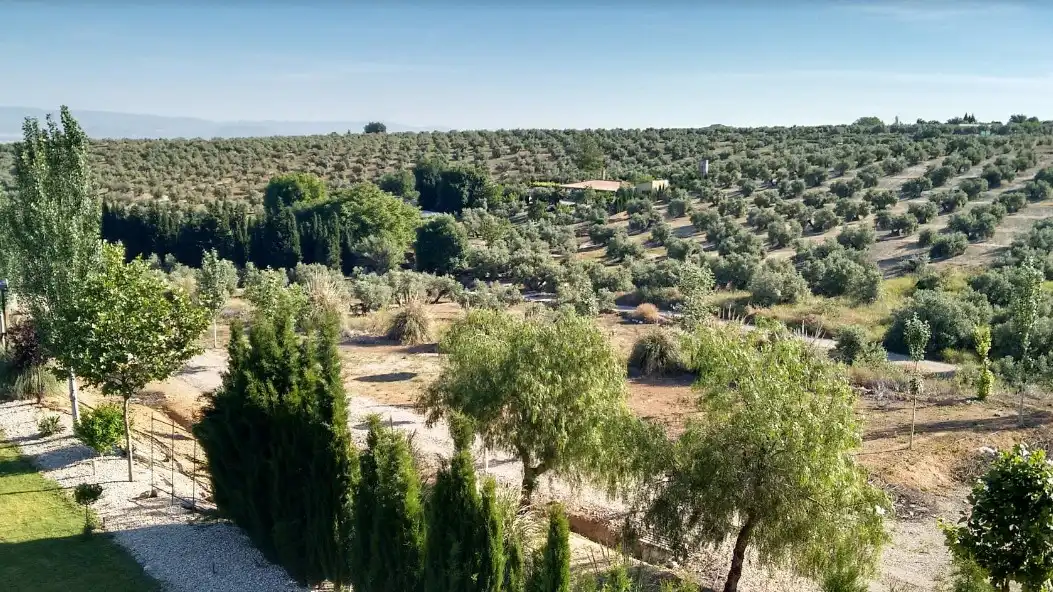 Buildings for sale in Ibros  with Alarm