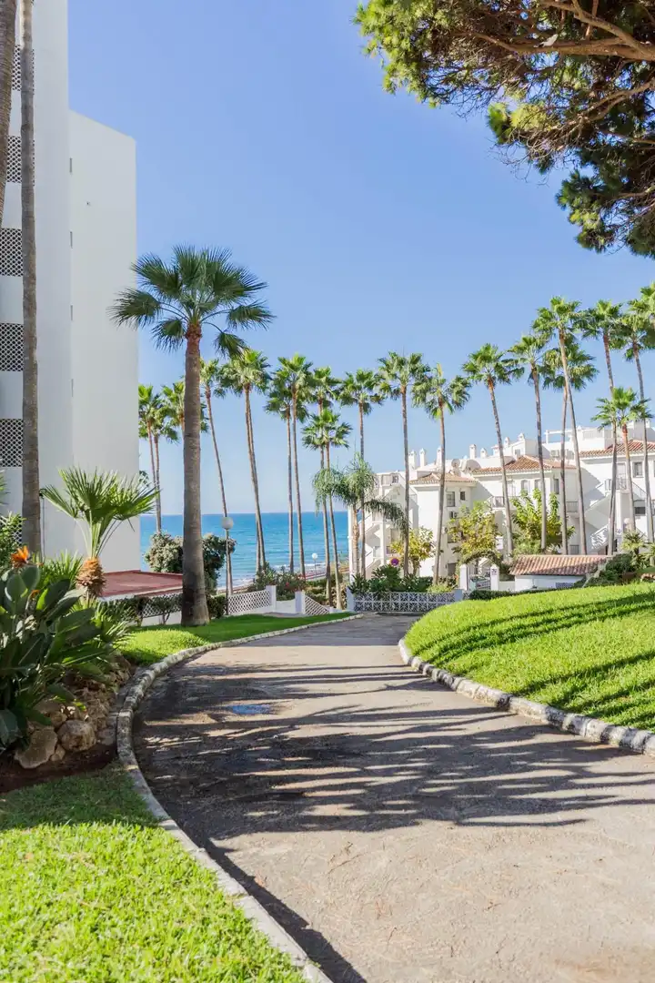 Vista exterior de Estudi en venda en Marbella amb Aire condicionat, Jardí privat i Moblat