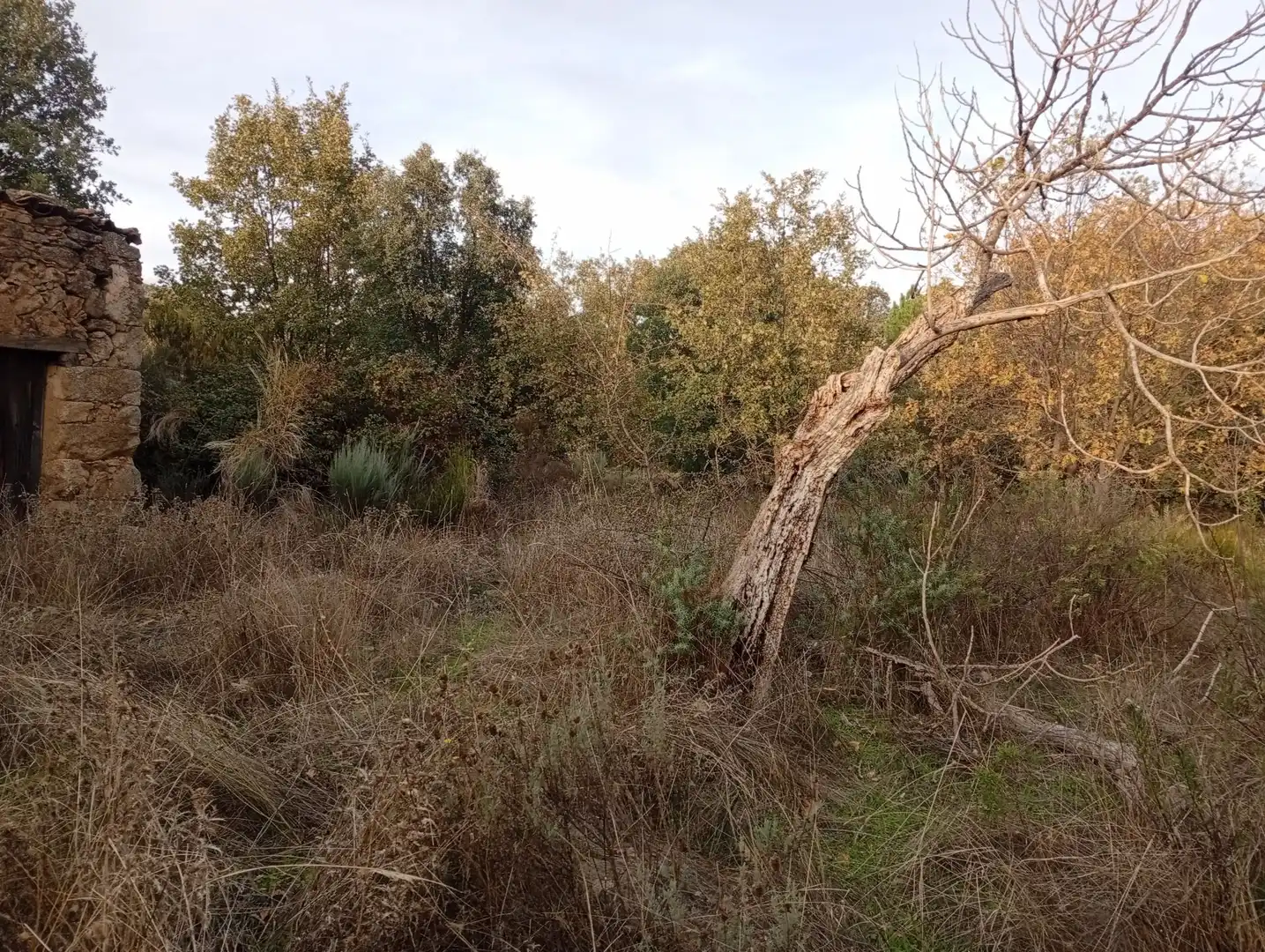 Terreni e lotti in vendita a Villanueva de la Vera, imagen 31