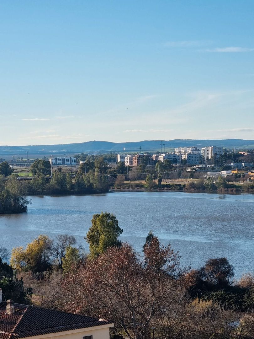 Piso en venta en Avenida Antonio Masa Campos, Valdepasillas - La Paz - Huerta Rosales