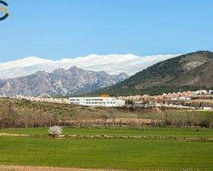 Vista exterior de Finca rústica en venda en Dílar