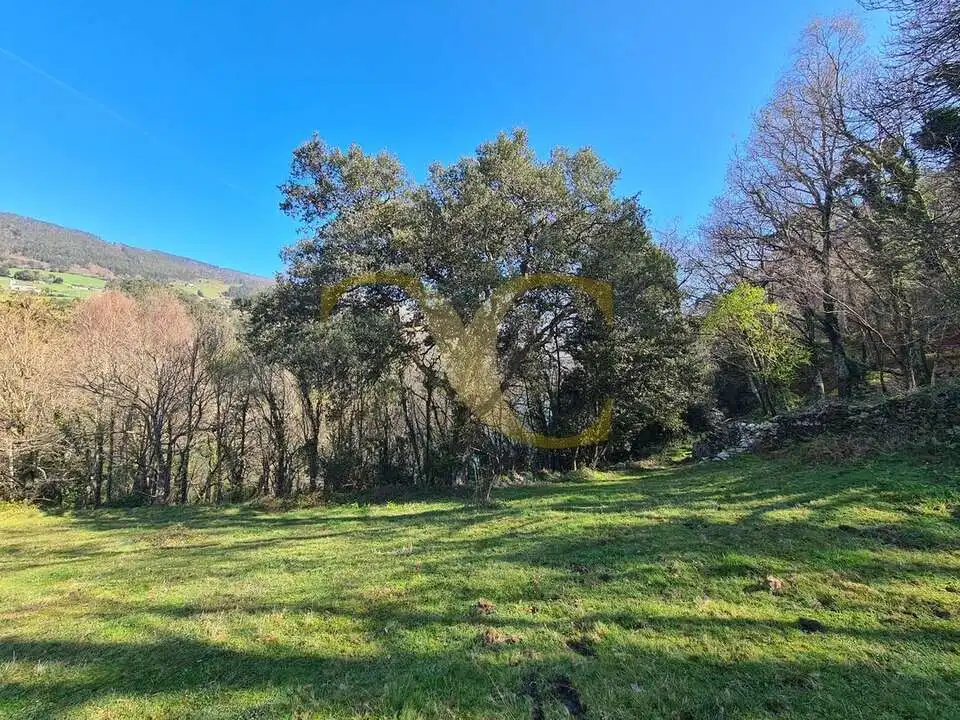 Casa o xalet en venda en Villayón amb Jardí privat