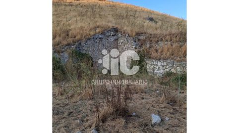 CASA DE CAMPO CON PISCINA LUZ AGUA LEGAL. OLIVAR 9 FANEGAS. TIERRA CALMA  3,5 FANEGAS A UN PASO DE BAENA, immagine 5