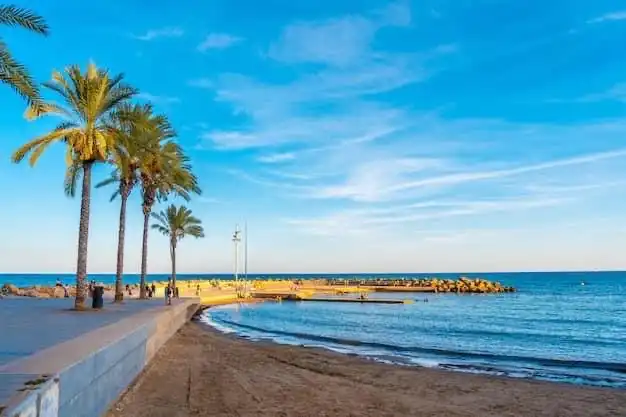 Vista exterior de Apartament en venda en Torrevieja amb Aire condicionat, Terrassa i Internet