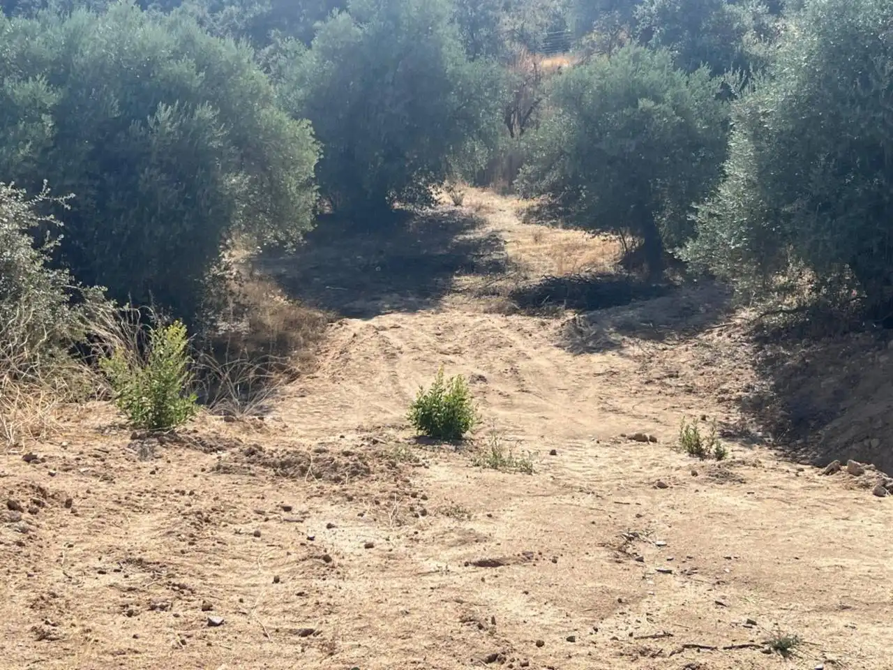 Terrenys i solars en venda a Calle Torcaz