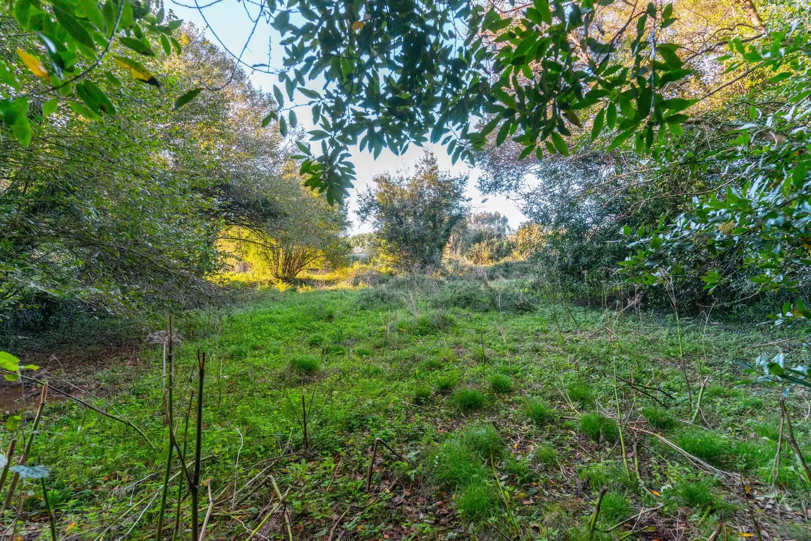 Casa o chalet en venta en Llanes con Calefacción, Jardín privado y Terraza
