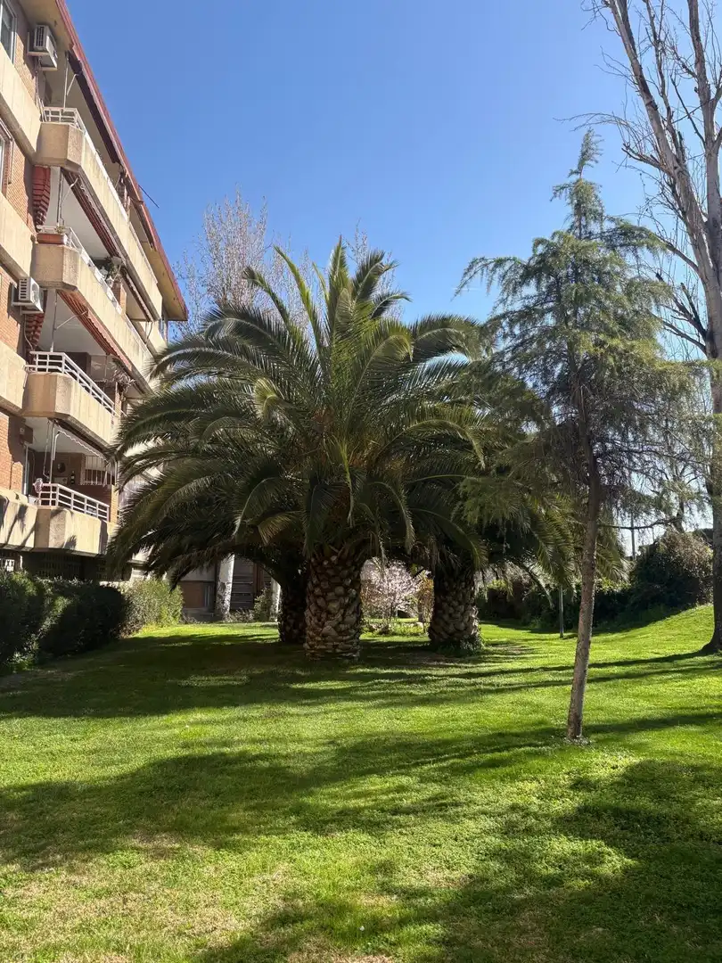 Pis en venda a Avenida Avenida España, Casco Antiguo