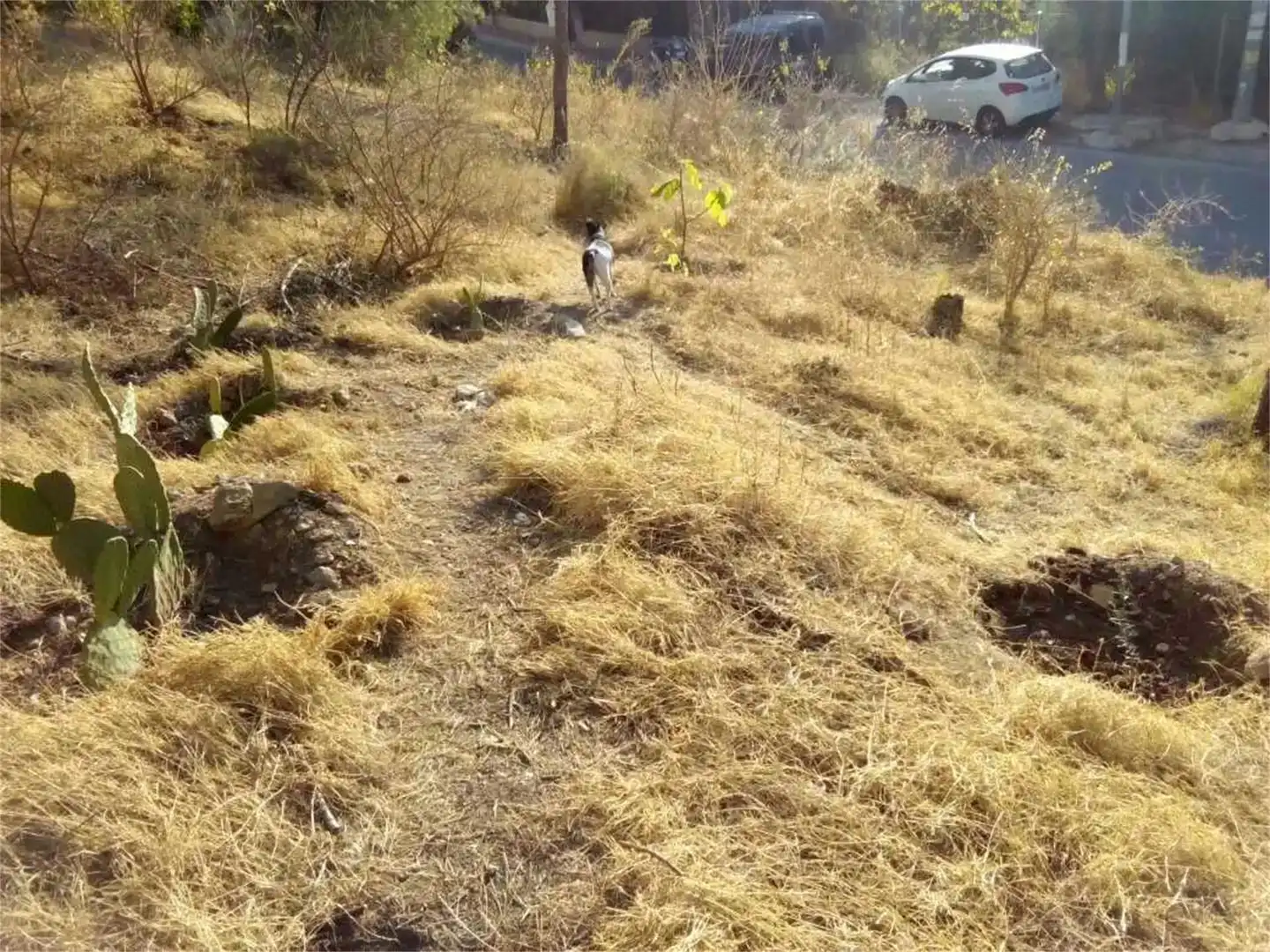 Terreno en venta en Pedanías Este