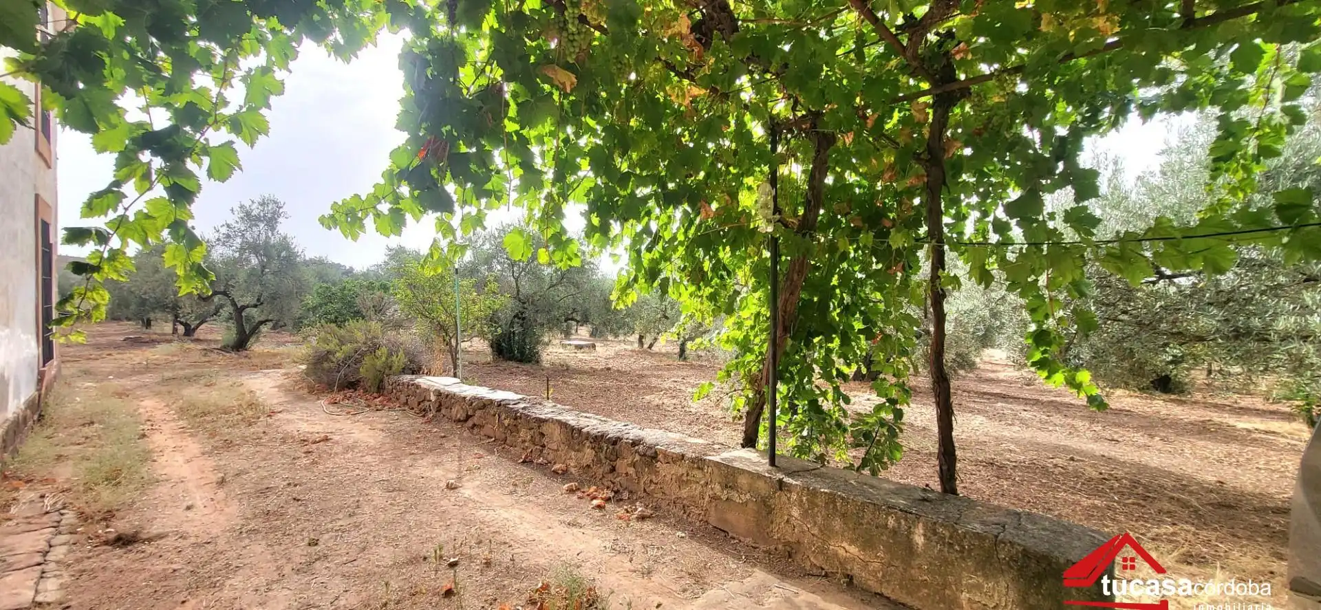 Grundstücke zum Verkauf in Montoro