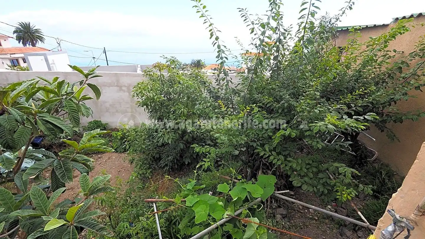Finca rústica en venda en Garachico amb Jardí privat i Moblat