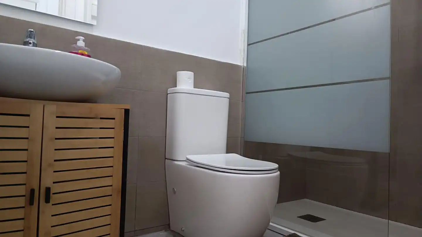 Bany de Casa o xalet en venda en Poio amb Calefacció, Terrassa i Moblat