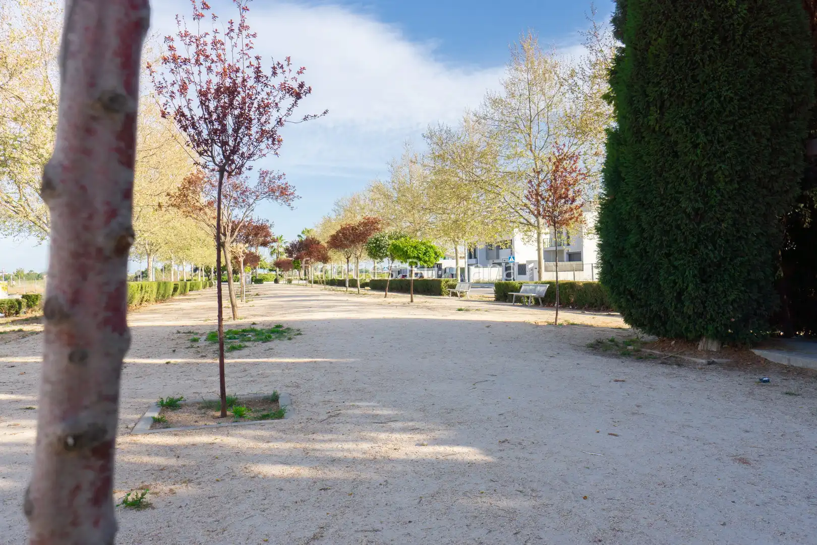Terreny residencial en venda a Piscinas, imagen 7