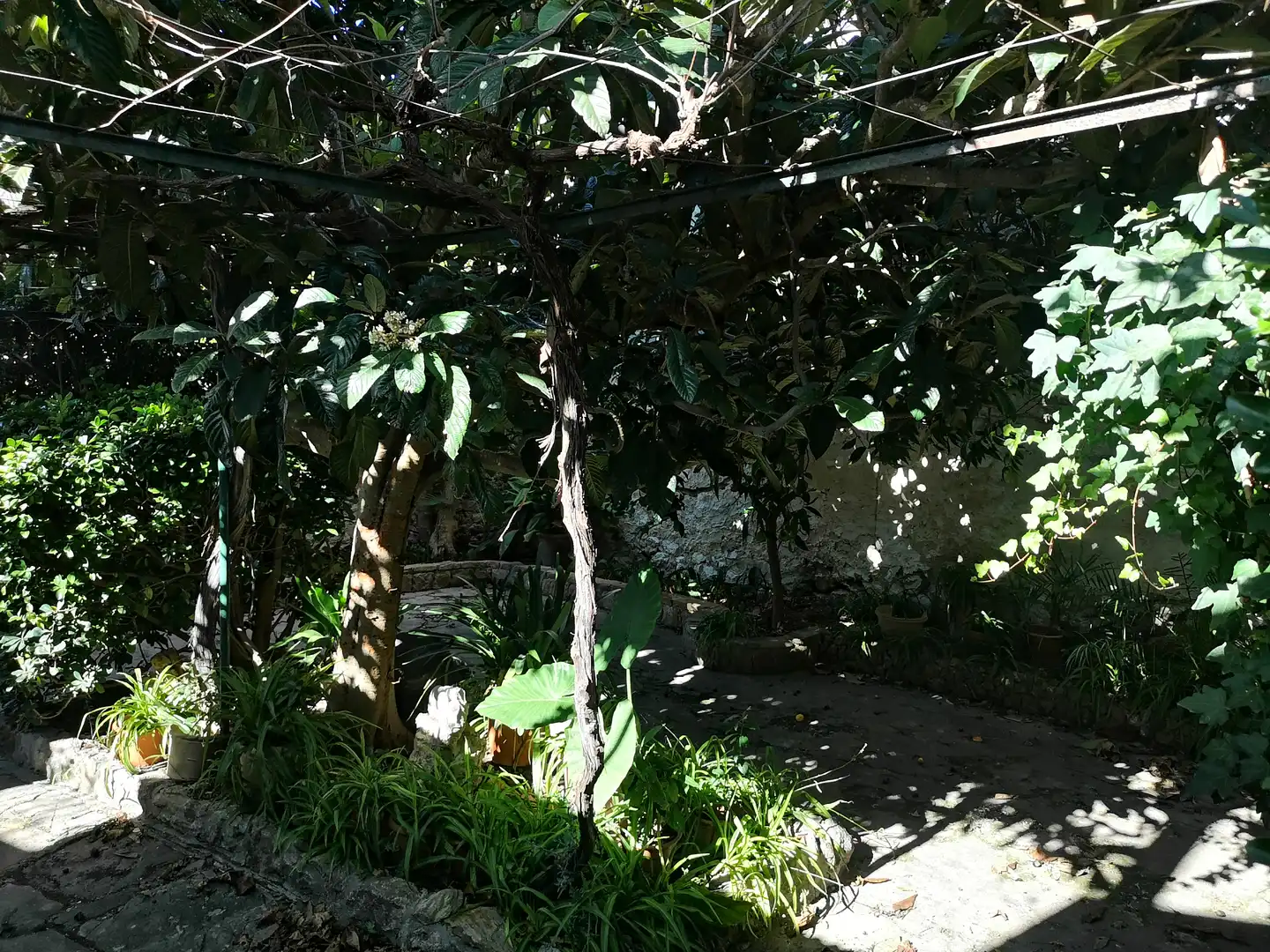Jardí de Casa o xalet en venda en Puigpunyent amb Jardí privat, Moblat i Forn
