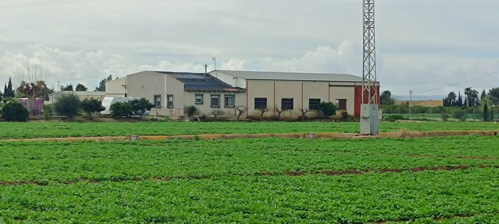 Vista exterior de Piso en venta en Callosa de Segura con Aire acondicionado, Jardín privado y Trastero