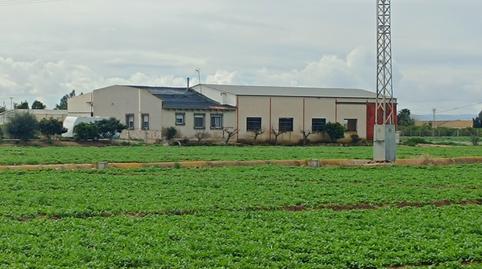 Photo 2 of Flat for sale in Camino del Almajal, Callosa de Segura, Alicante