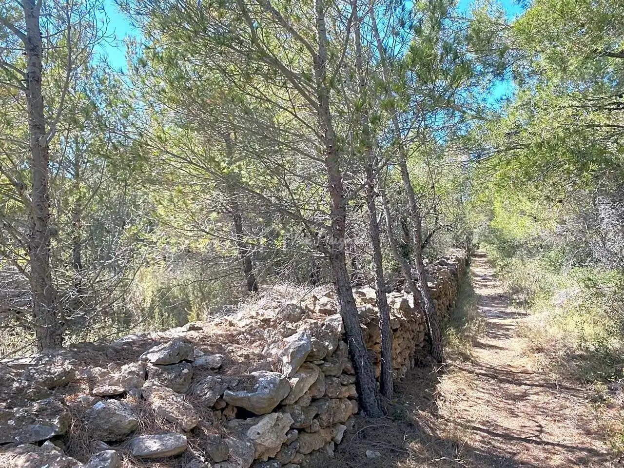 Residential zum Verkauf in Carrratillana, Roques Daurades - L'Estany