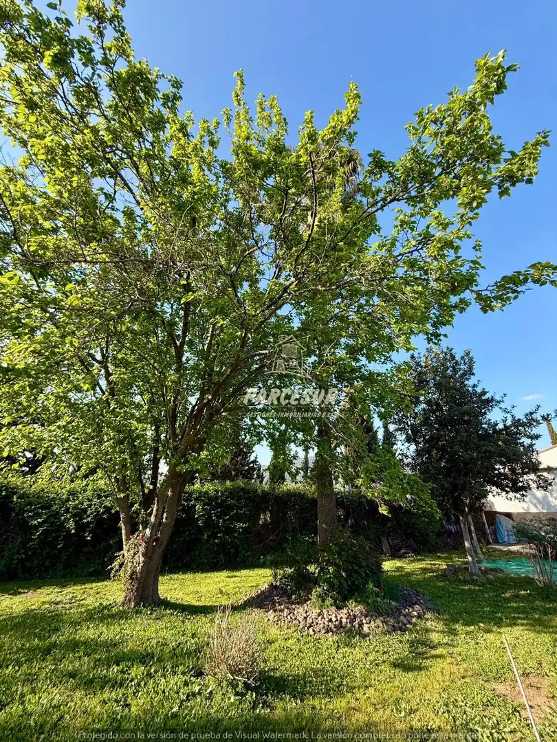 Houses for sale in Córdoba  with Private garden
