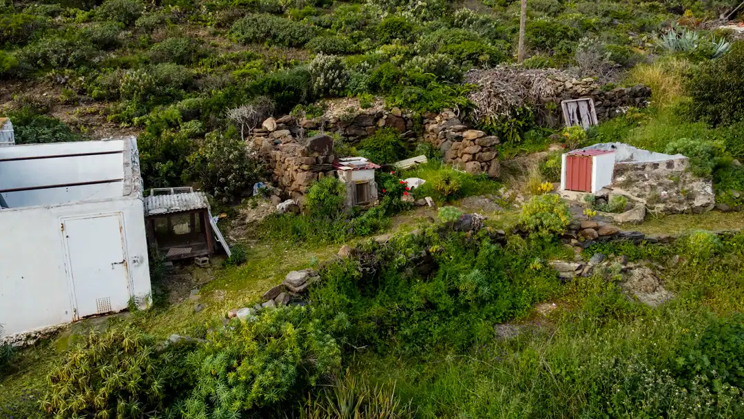 Jardín de Finca rústica en venta en Moya (Las Palmas)