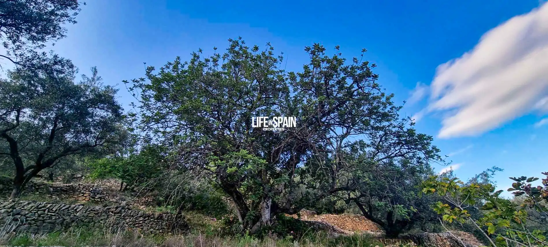 Finca rústica en venda en Roquetes amb Jardí privat i Piscina