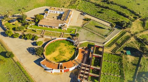 Foto 5 de Finca rústica en venta en San Martín del Tesorillo, Cádiz