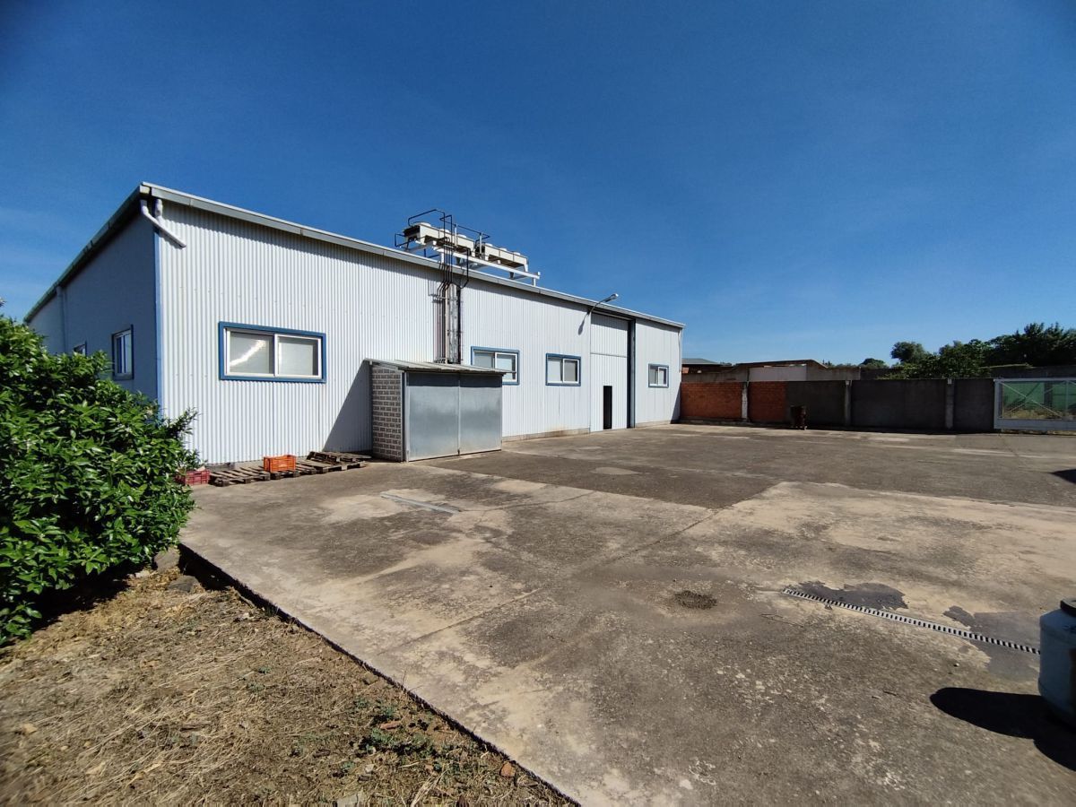 Exterior view of Industrial buildings for sale in Montehermoso